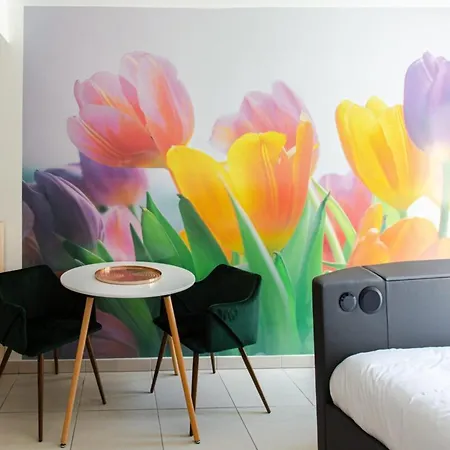 Tivoli Furnished Flat Beausoleil
